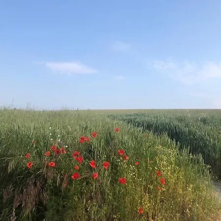 Nyaraló Maison A La Campagne